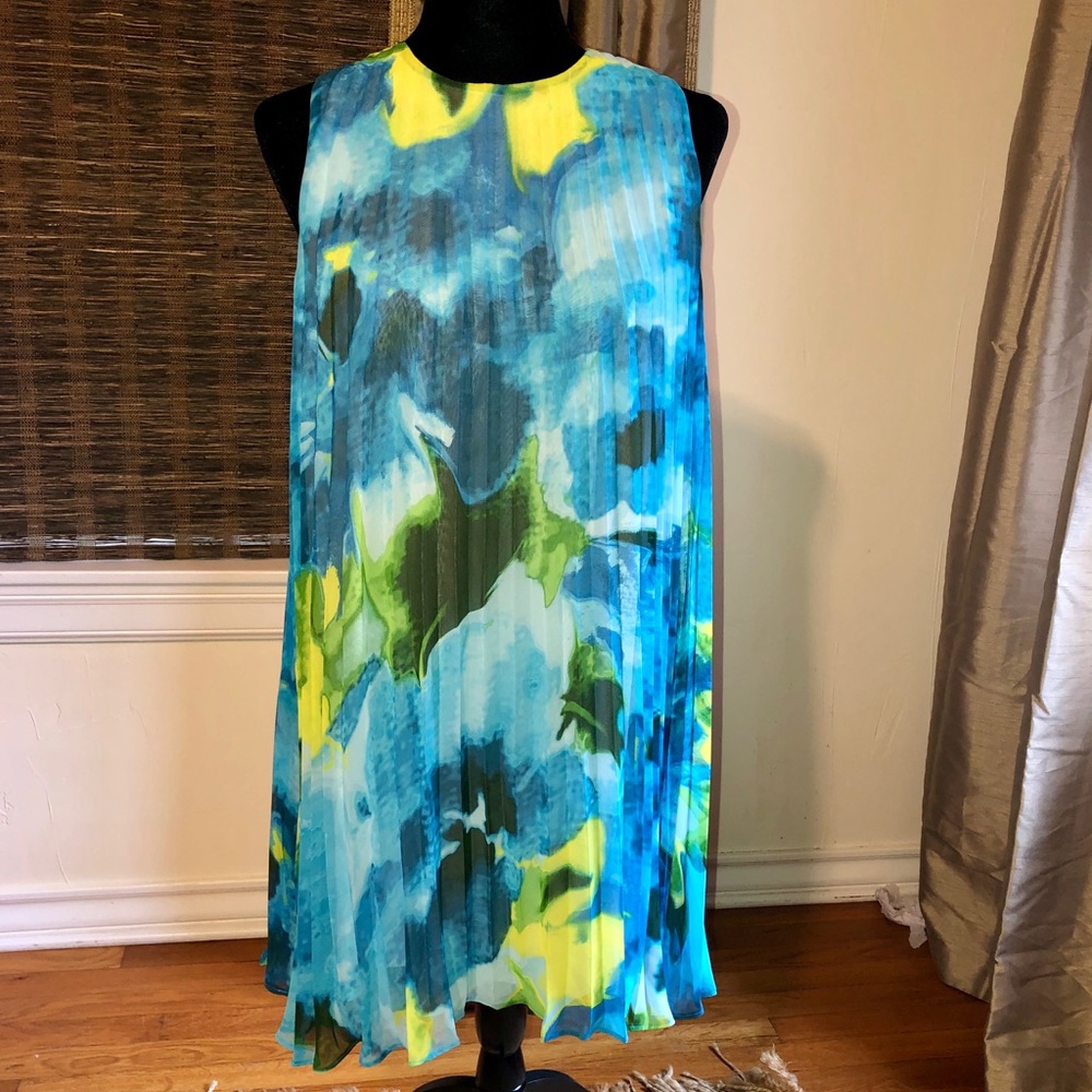 BB Dakota pleated dress.